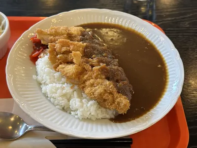 Katsu curry japonais au poulet pané panko