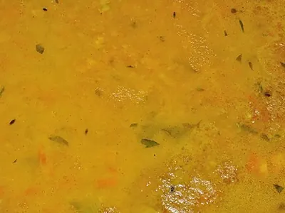 Dahl de lentilles corail
