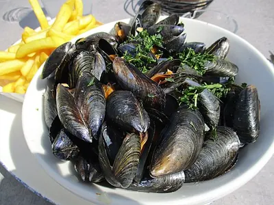 Moules marinières